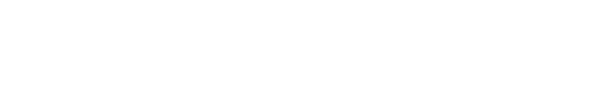 Nexentis Consulting